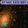 Cl* NGC 1978    WBT      41
