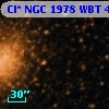Cl* NGC 1978    WBT      44
