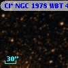 Cl* NGC 1978    WBT      45