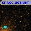 Cl* NGC 1978    WBT      46
