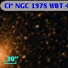 Cl* NGC 1978    WBT      49