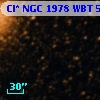 Cl* NGC 1978    WBT      50