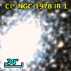 Cl* NGC 1978     IR       1