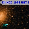 Cl* NGC 1978    WBT      52