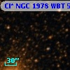 Cl* NGC 1978    WBT      55