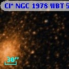 Cl* NGC 1978    WBT      56