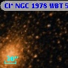 Cl* NGC 1978    WBT      58