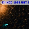 Cl* NGC 1978    WBT      59