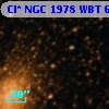 Cl* NGC 1978    WBT      61