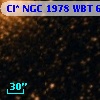 Cl* NGC 1978    WBT      63