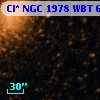 Cl* NGC 1978    WBT      66