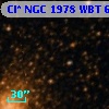 Cl* NGC 1978    WBT      67