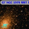 Cl* NGC 1978    WBT      73
