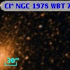 Cl* NGC 1978    WBT      77