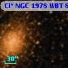 Cl* NGC 1978    WBT      81