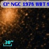Cl* NGC 1978    WBT      82