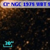 Cl* NGC 1978    WBT      84
