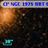 Cl* NGC 1978    WBT      85