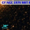 Cl* NGC 1978    WBT      89