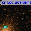 Cl* NGC 1978    WBT      91