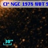 Cl* NGC 1978    WBT      94
