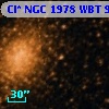 Cl* NGC 1978    WBT      96