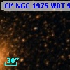 Cl* NGC 1978    WBT      98