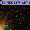 Cl* NGC 1978    WBT     103