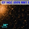 Cl* NGC 1978    WBT     109