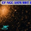 Cl* NGC 1978    WBT     110