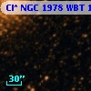 Cl* NGC 1978    WBT     113