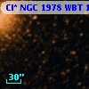Cl* NGC 1978    WBT     117