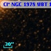 Cl* NGC 1978    WBT     119