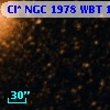 Cl* NGC 1978    WBT     122