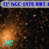 Cl* NGC 1978    WBT     131