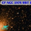 Cl* NGC 1978    WBT     132