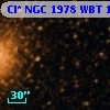 Cl* NGC 1978    WBT     135