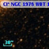 Cl* NGC 1978    WBT     136
