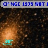 Cl* NGC 1978    WBT     137