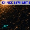 Cl* NGC 1978    WBT     141