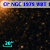 Cl* NGC 1978    WBT     142