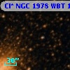 Cl* NGC 1978    WBT     143