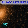 Cl* NGC 1978    WBT     144