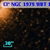 Cl* NGC 1978    WBT     145