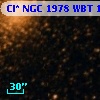 Cl* NGC 1978    WBT     151