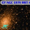 Cl* NGC 1978    WBT      48