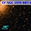 Cl* NGC 1978    WBT      60