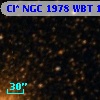Cl* NGC 1978    WBT     155