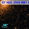 Cl* NGC 1978    WBT     156