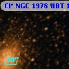 Cl* NGC 1978    WBT     161